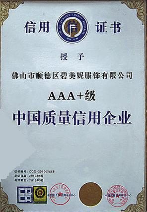 Bimeini brand honour certificate